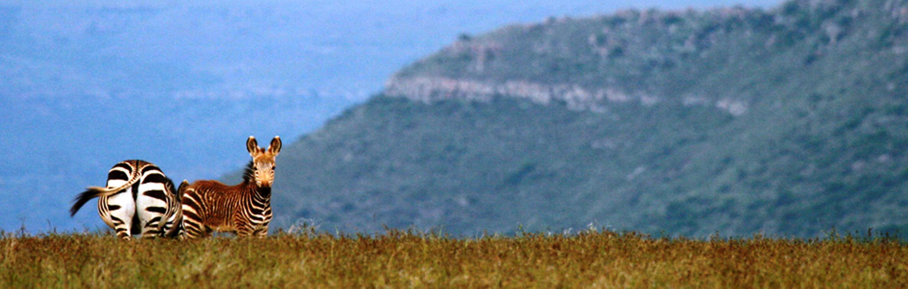 Mount Camdeboo Otel Graaff-Reinet Dış mekan fotoğraf