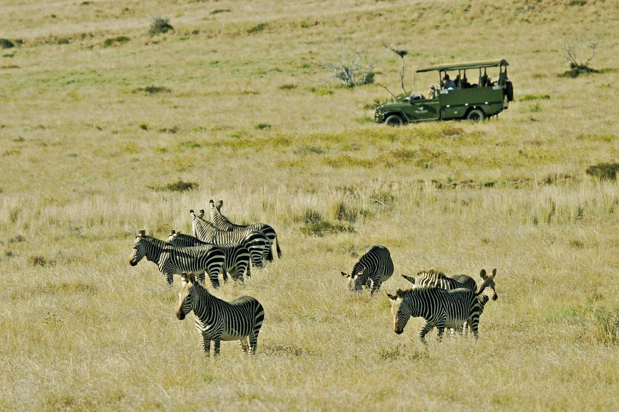 Mount Camdeboo Otel Graaff-Reinet Dış mekan fotoğraf